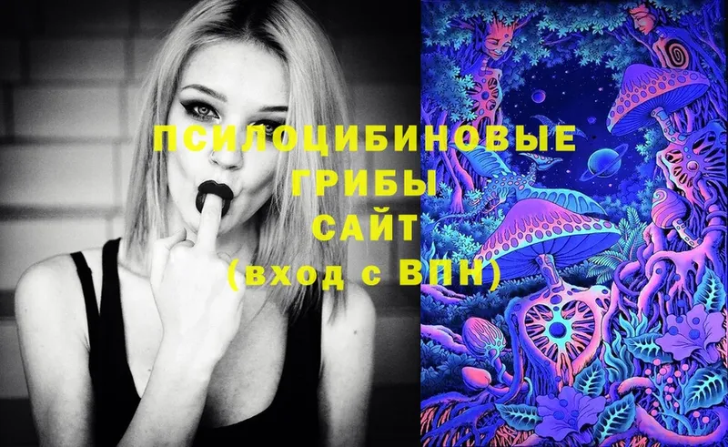 Галлюциногенные грибы Cubensis Оса